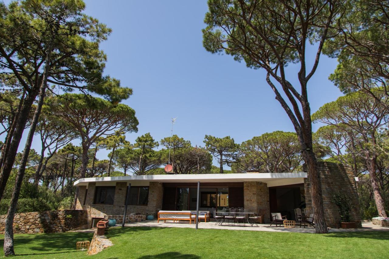 كاستيغليون ديلا بيسكايا Villa Roccapini المظهر الخارجي الصورة