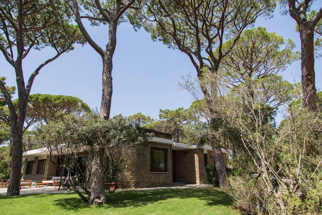 كاستيغليون ديلا بيسكايا Villa Roccapini المظهر الخارجي الصورة