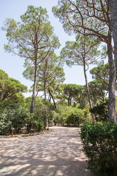 كاستيغليون ديلا بيسكايا Villa Roccapini المظهر الخارجي الصورة