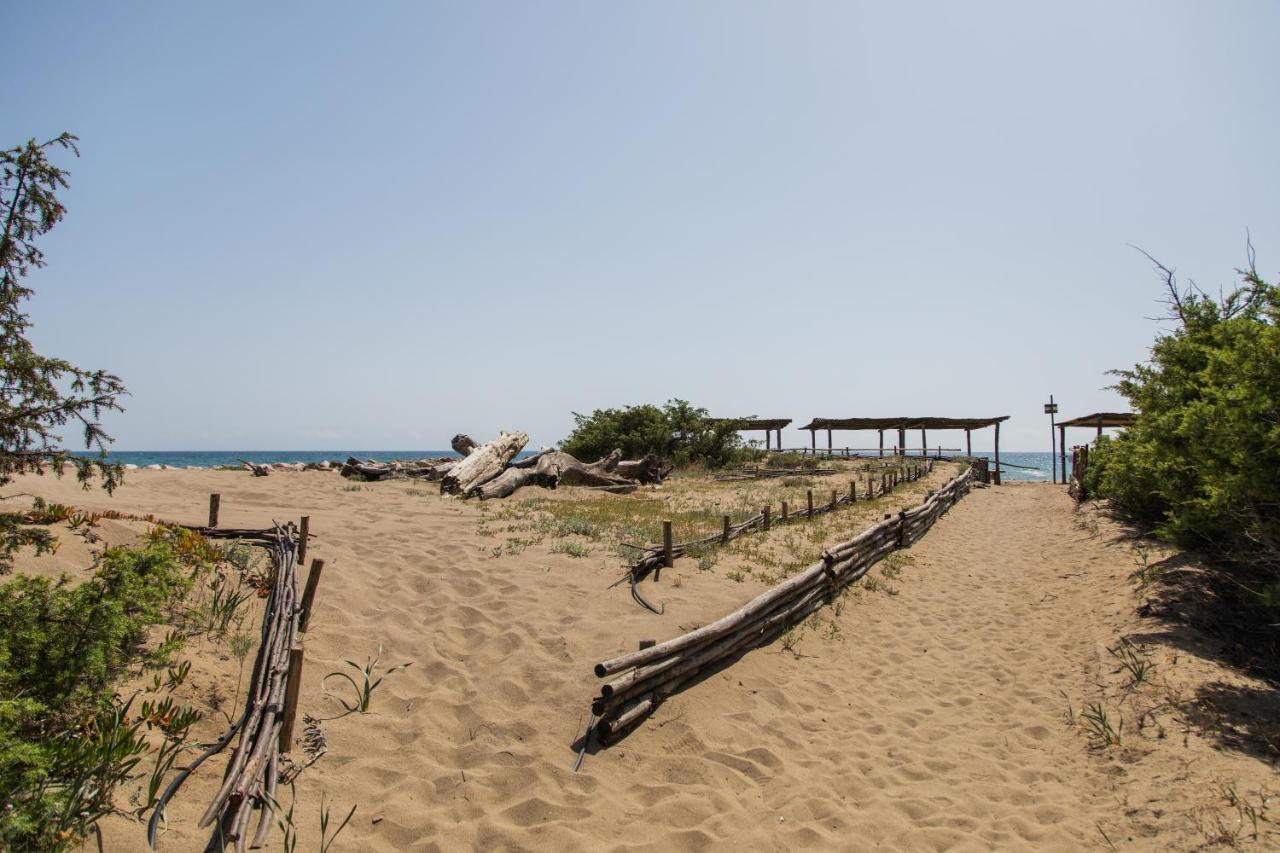 كاستيغليون ديلا بيسكايا Villa Roccapini المظهر الخارجي الصورة
